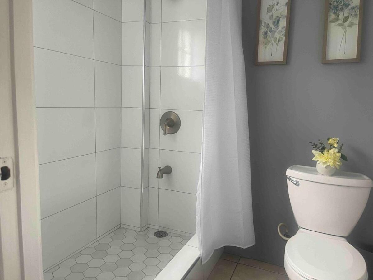 One Bedroom City Apartment Fully Ac With 24Hrs Security Kingston Exterior photo
