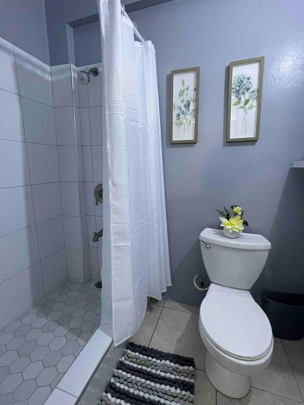 One Bedroom City Apartment Fully Ac With 24Hrs Security Kingston Exterior photo